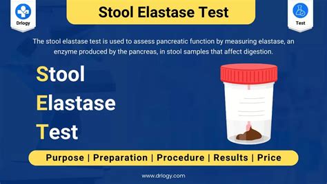 elastaza pancreatica in materii fecale|Fecal elastase, an assay for exocrine pancreatic insufficiency, has ...